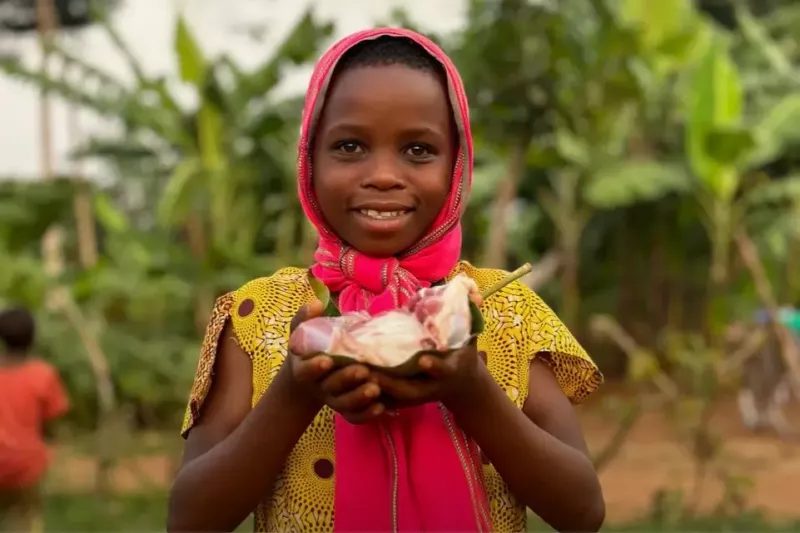 Kandil Küçükbaş Kurban